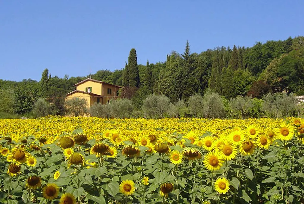 I Casali Del Trebbiolo Villa Molino del Piano 0*,  Italy