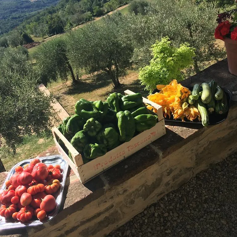 Farm stay I Casali Del Trebbiolo Villa Molino del Piano